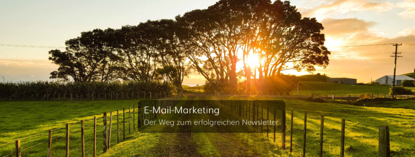 E-Mail-Marketing - Der Weg zum erfolgreichen Newsletter