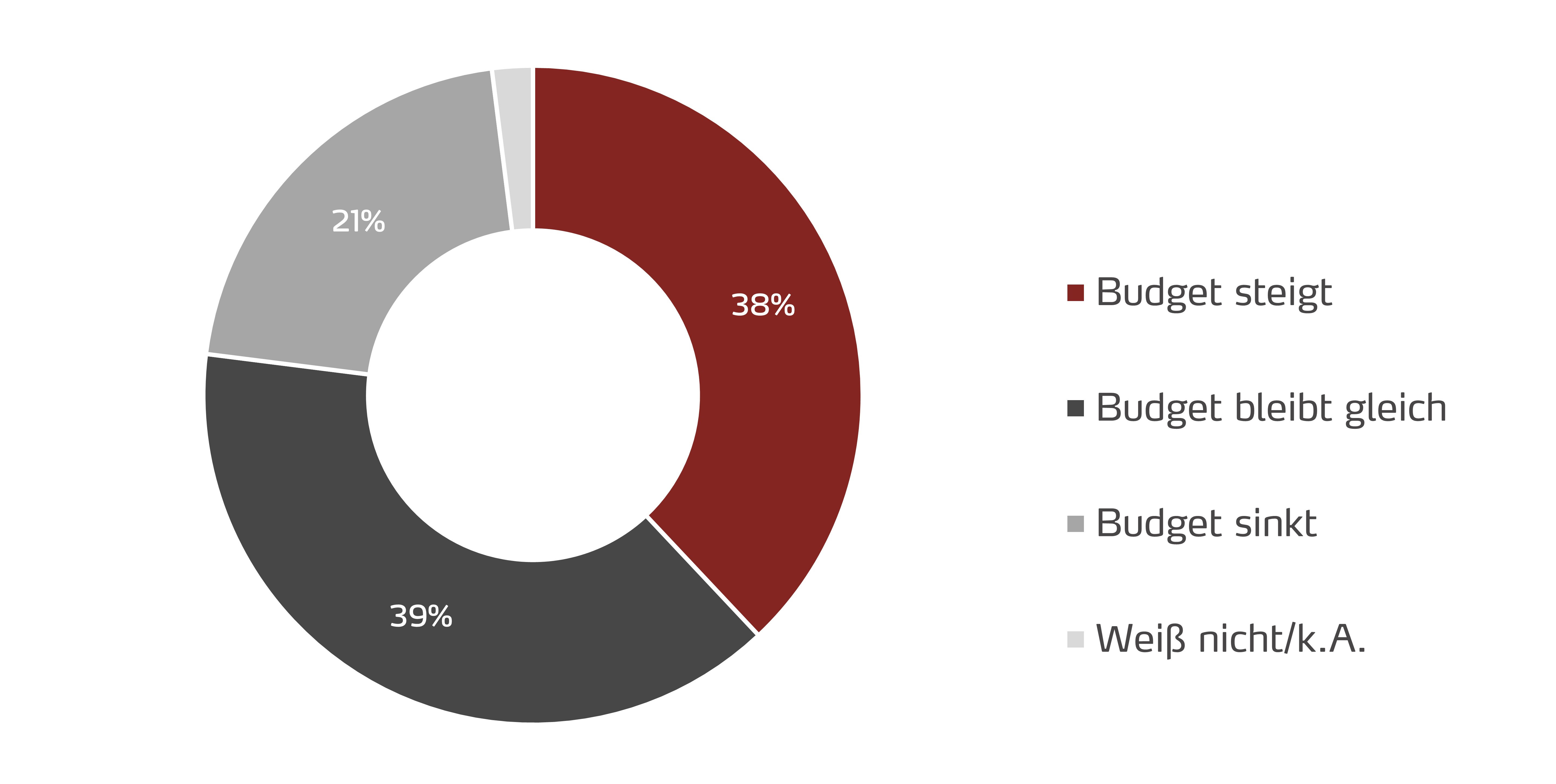 Social Media Budget in 5 Jahren 2017